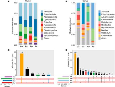 Alterations of gut microbiota and short-chain fatty acids induced by Balantidium polyvacuolum in the hindgut of Xenocyprinae fishes providing new insights into the relationship among protozoa, gut microbiota and host